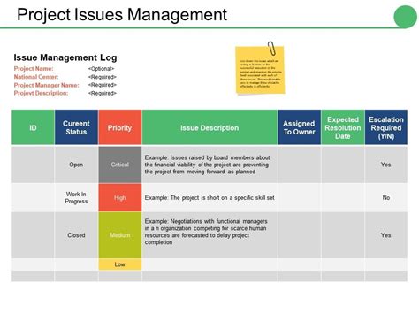 project issues examples