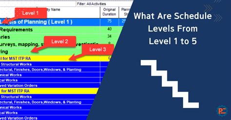 project level meaning