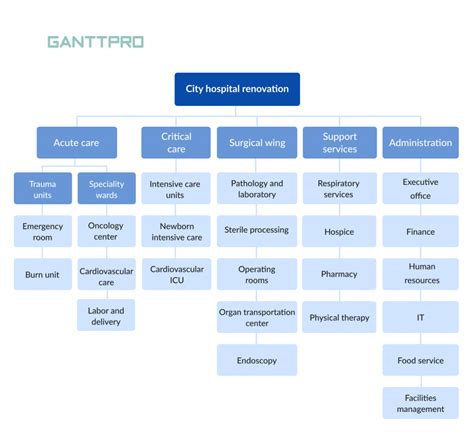 project management examples in healthcare
