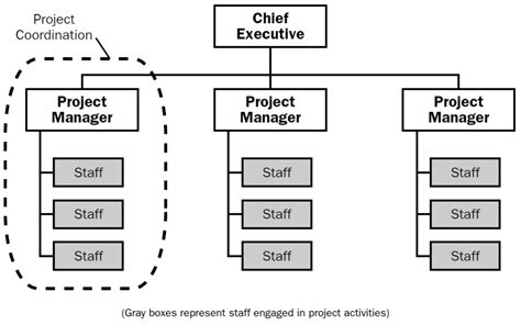 project oriented organizational structure