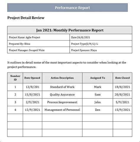project performance report example
