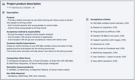 project product description example