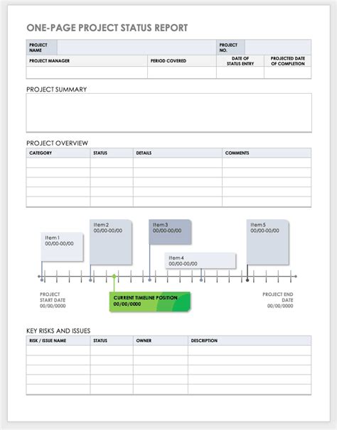 project report document template