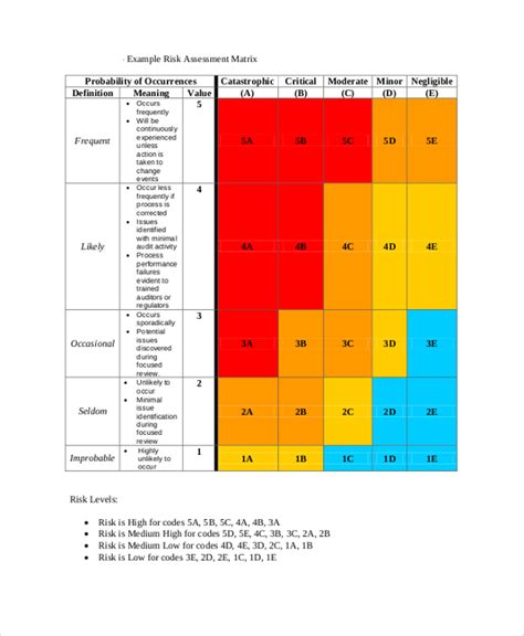 project risk assessment format