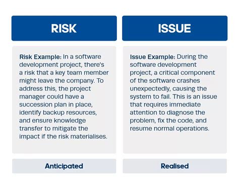 project risks and issues example