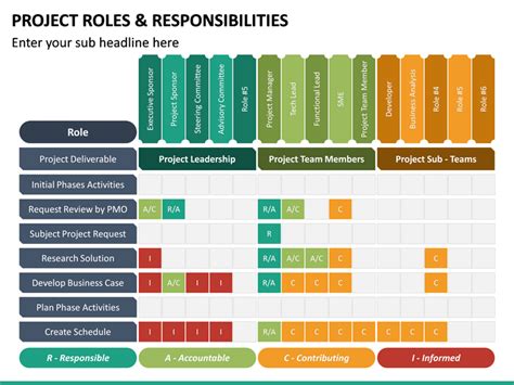 project roles examples