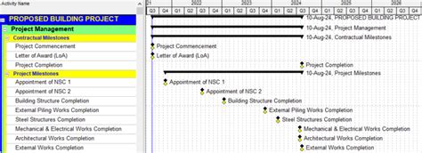 project schedule review process
