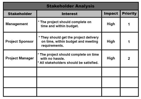 project stakeholder matrix example