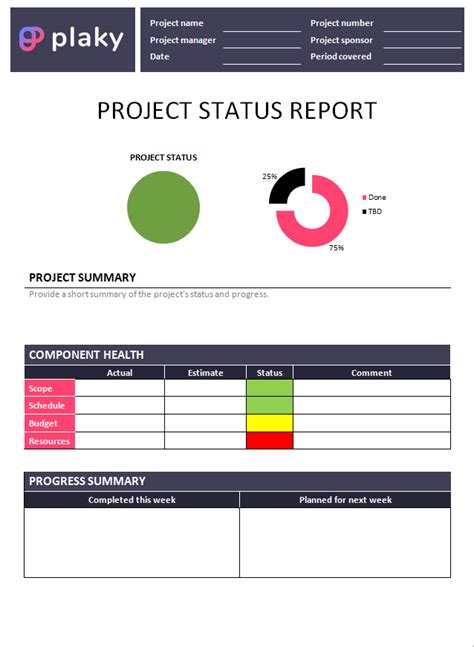 project status report sample word