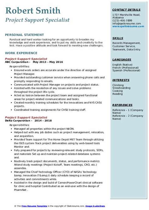 project support cv example