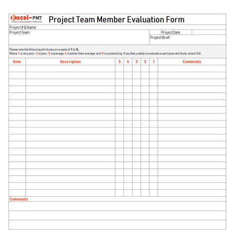 project team form