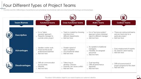 project team overview