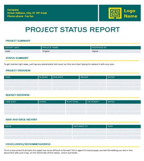 project update report template word