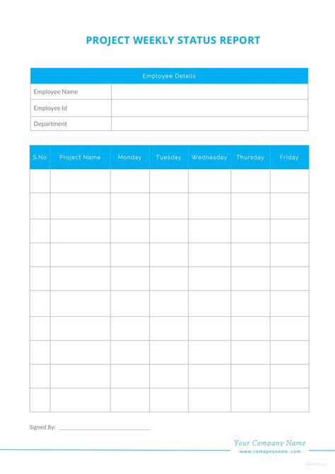 project weekly status report template word