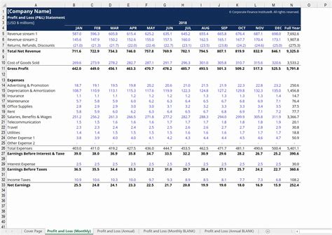 projected profit and loss account in excel format