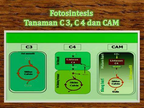 proses cam