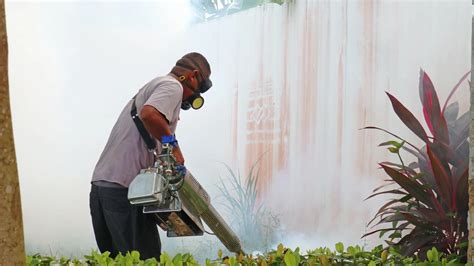 Contoh proses fogging pencegahan DBD