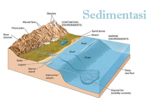proses sedimentasi