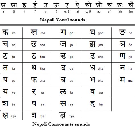 protocols meaning in nepali