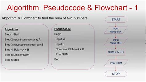 pseudocode algorithm examples