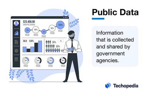 public data definition