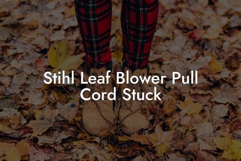 pull cord on leaf blower stuck