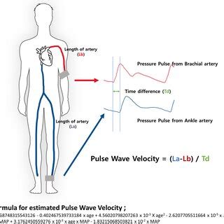 pulse wave velocity formula