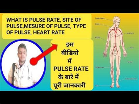 pulse width meaning hindi