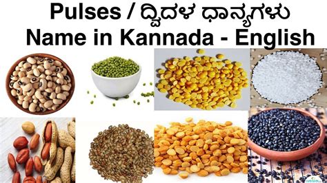pulses examples in kannada with names