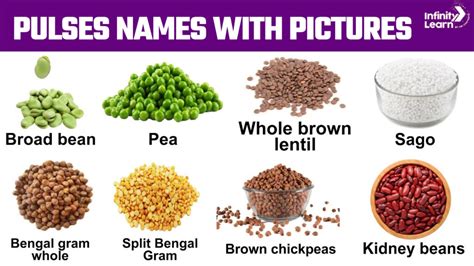 pulses examples in malayalam with names