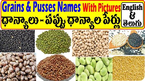 pulses examples in telugu with names
