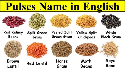 pulses name list in english and urdu