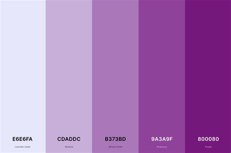 purple color palette code
