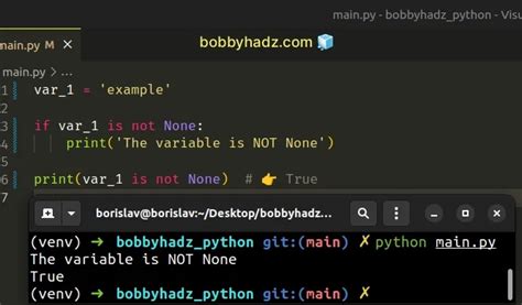 python is not none vs none