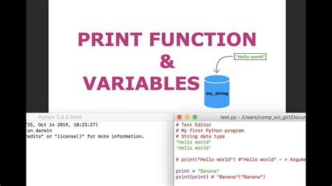 python print type of variable without class