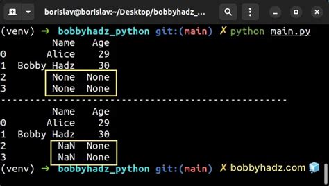 python replace none with np.nan