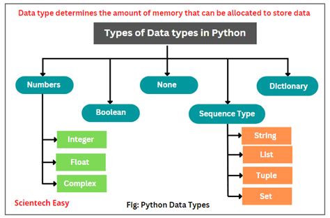 python specify data type in function