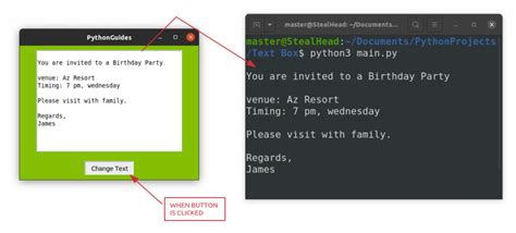 python tkinter text options
