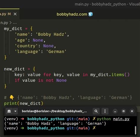 python type dict or none