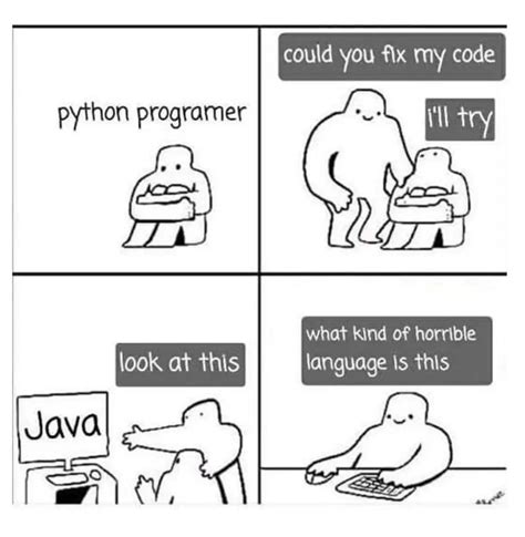 python vs other languages meme