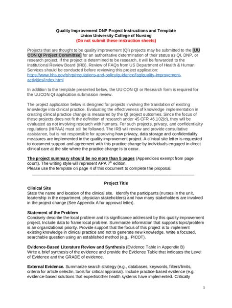 qi project write up template