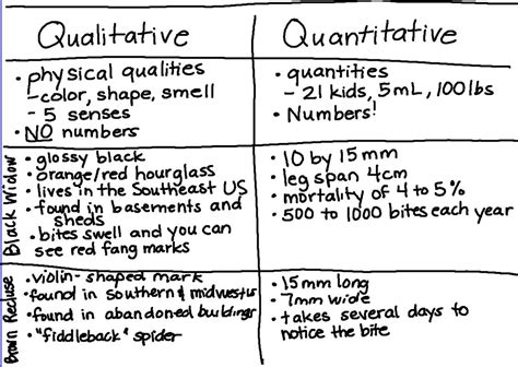 quantitative observation example sentence