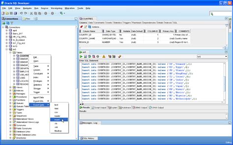 que es sql developer