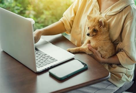 questions to ask your pet in a communication session
