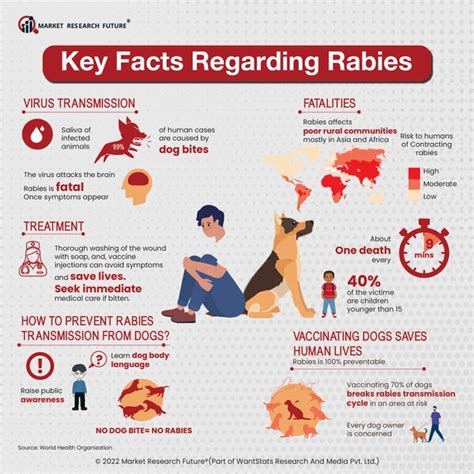 rabies vaccination