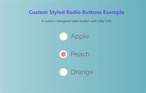 radio button css style examples w3schools