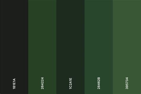 rainforest green color code