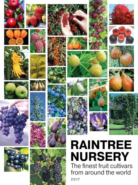 Raintree Nursery Catalog