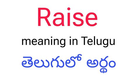 raise an objection meaning in telugu