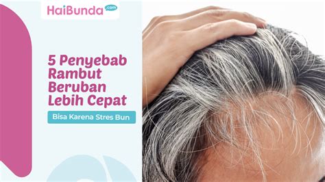Ilustrasi Rambut Beruban